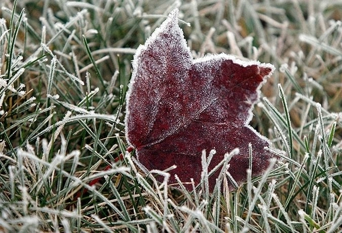 Meteorologii au anunţat Cod Galben de înghețuri. Agricultorii, atenţionaţi să-şi protejeze culturile târzii