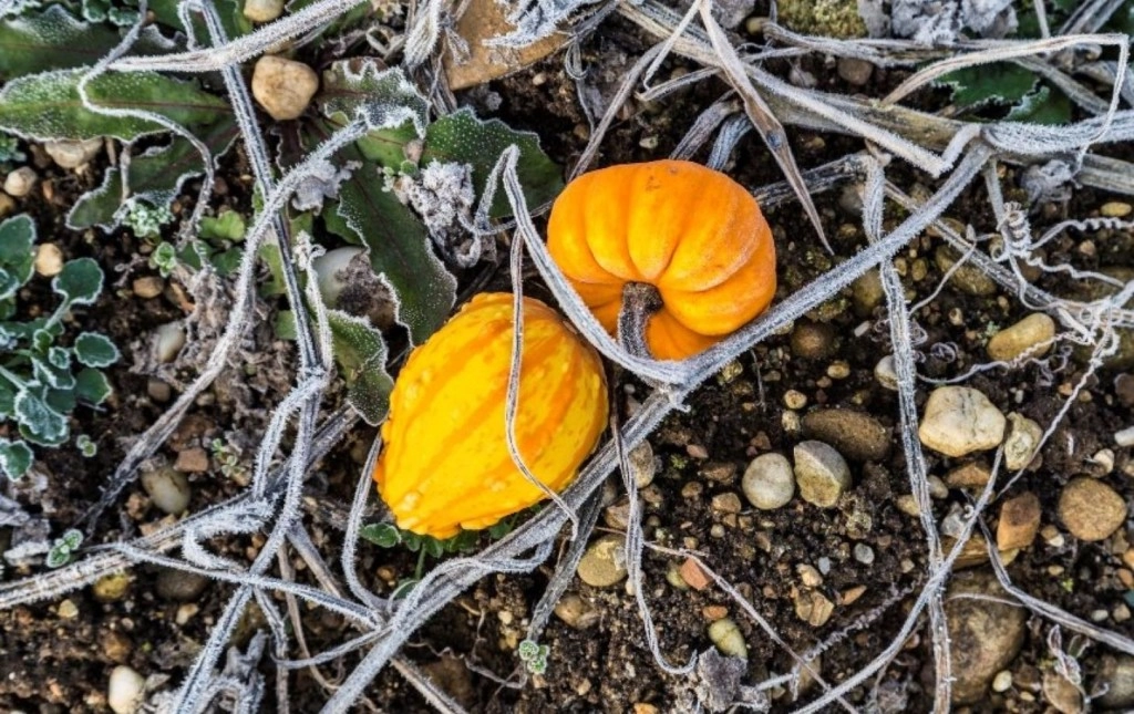 Răcire bruscă a vremii în Republica Moldova: temperaturile vor coborî până la -2°C, în weekend