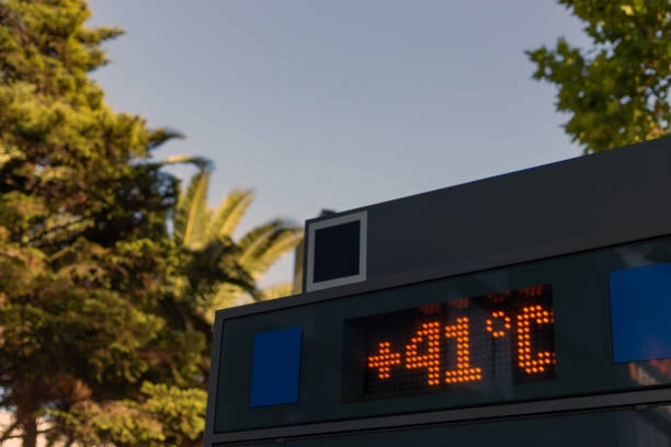 Canicula din iunie a adus peste 10.000 de decese în plus în Europa