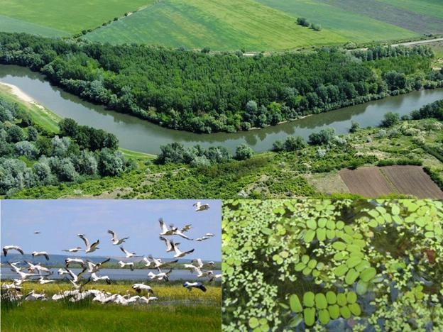 Zonele umede din 15 raioane ale țării vor fi restaurate cu sprijinul BIRD