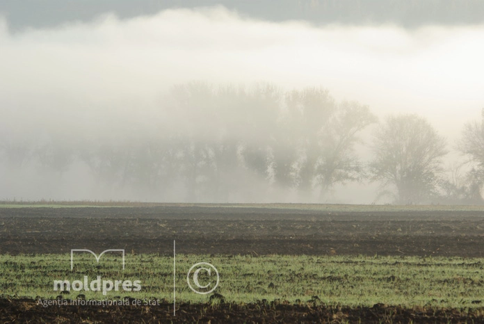 METEO // Vineri, vremea continuă să se încălzească