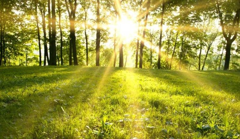 Vreme frumoasă, fără precipitații și maxime de până la 27 de grade Celsius, prognozate pentru joi
