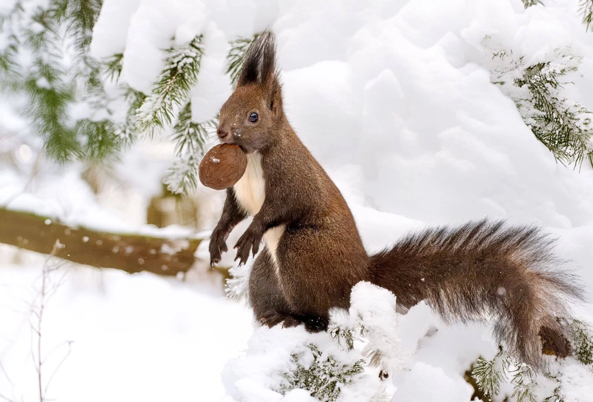 Vreme rece și polei pe drumuri. Ce temperaturi vor fi înregistrate marți