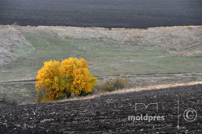 Vreme stabilă și fără precipitații esențiale în următoarele 24 de ore