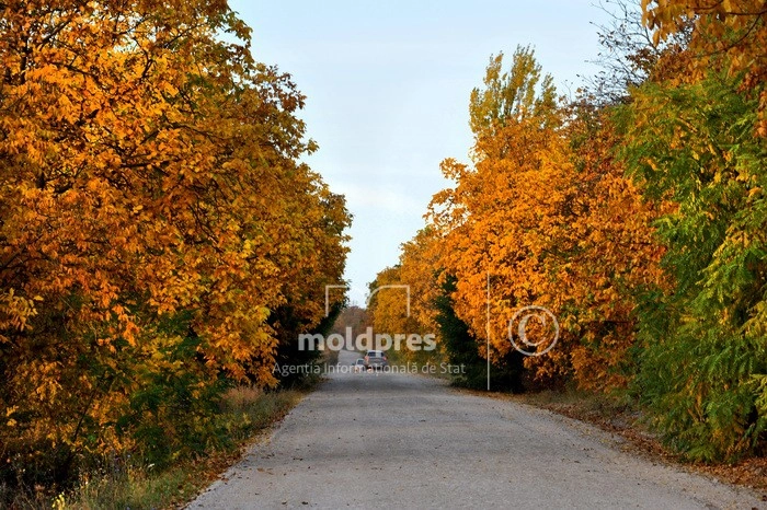 Temperaturi de până la 20 de grade Celsius, prognozate de meteorologi pentru joi