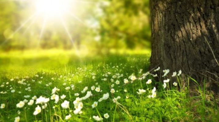 METEO // Ploi de scurtă durată și maxime de +35 de grade Celsius, joi