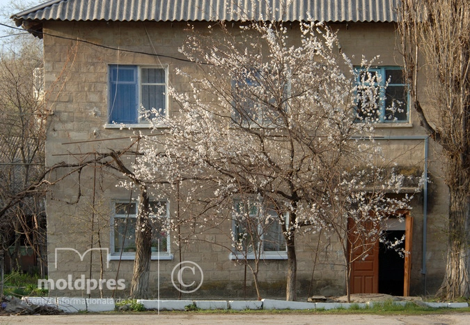 METEO // Joi, vremea continuă să se încălzească