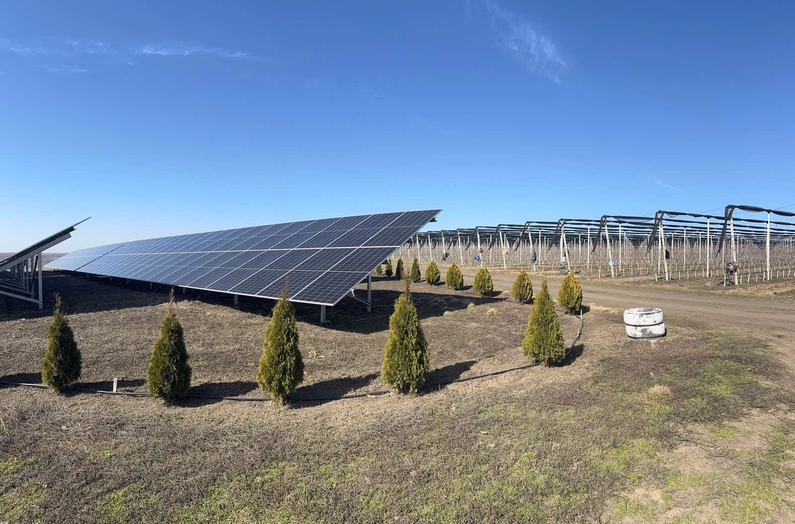Moldova Fruct obține recunoașterea capacităților fotovoltaice pentru fermieri: „O victorie pentru predictibilitatea afacerilor”