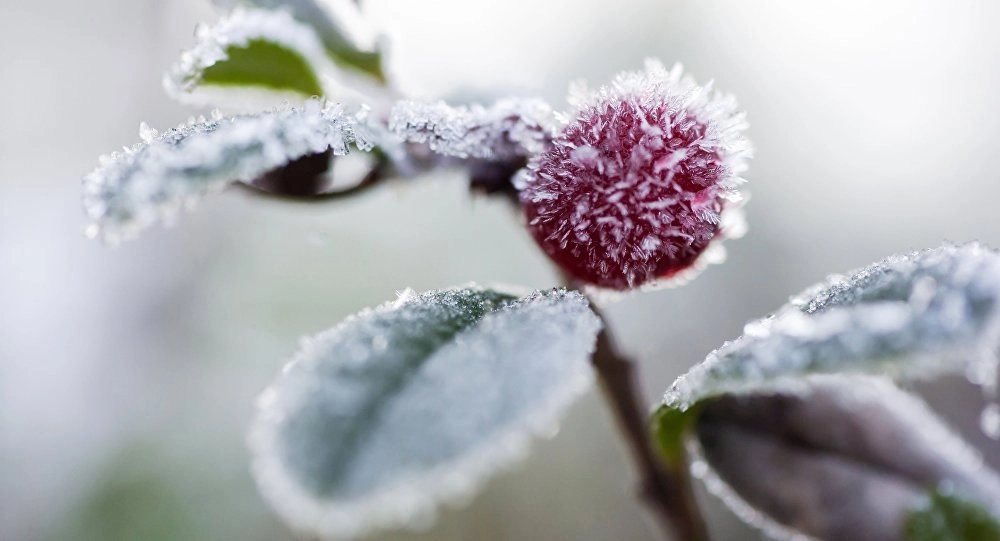 Meteorologii au emis Cod galben de înghețuri
