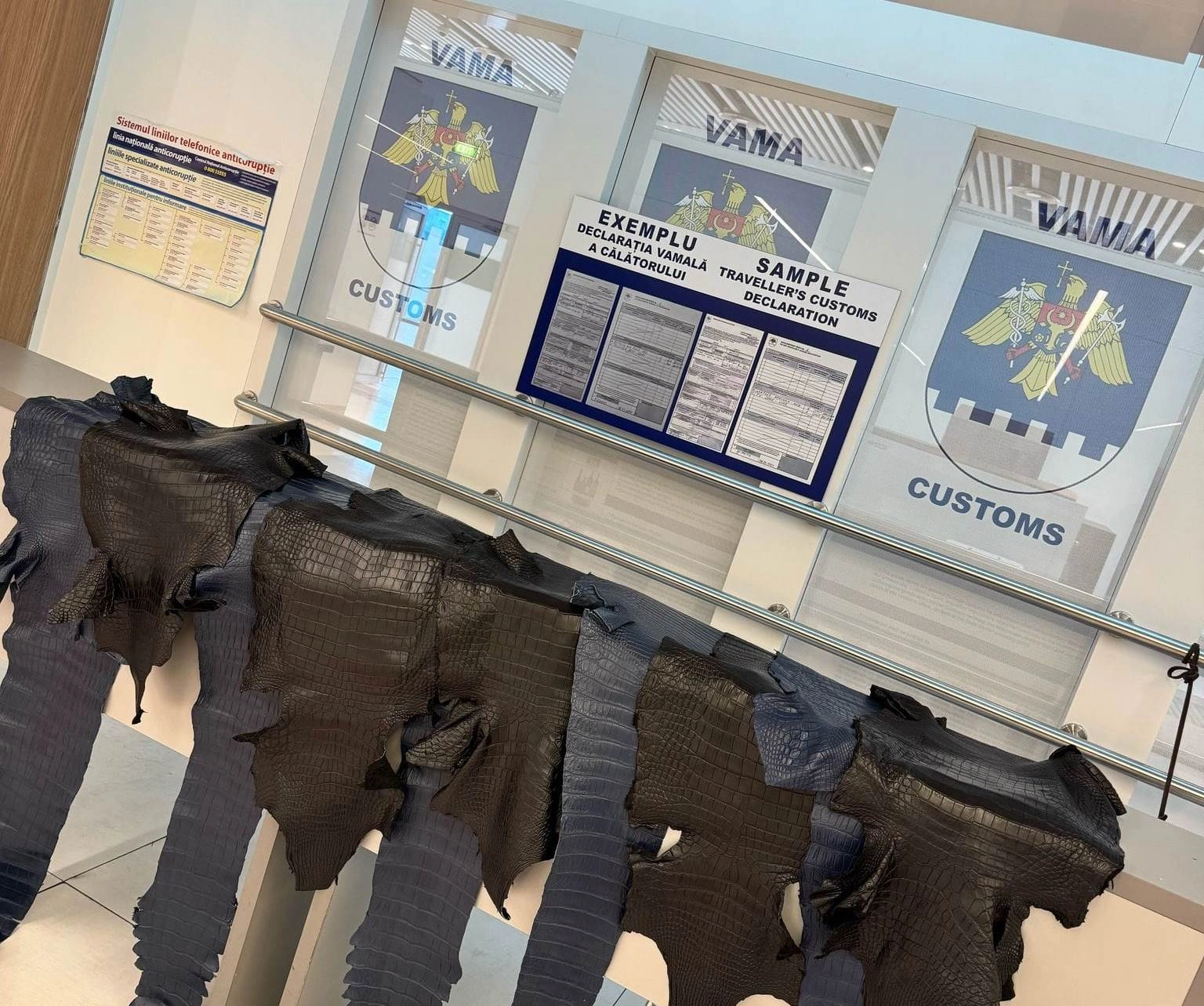 Captură inedită la aeroport. Piei de crocodil găsite în bagajul unui pasager