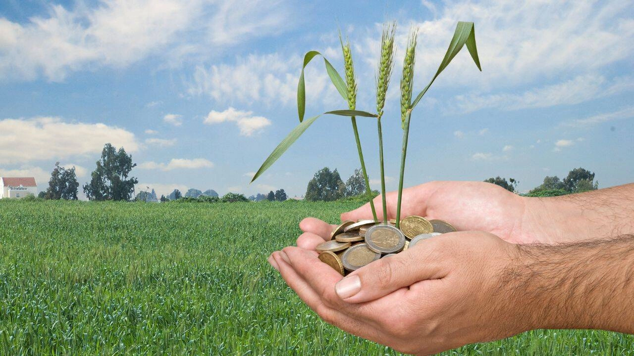 În aprilie 2025, AIPA a autorizat spre plată circa 209 milioane de lei, destinaţi fermierilor sub formă de subvenţii