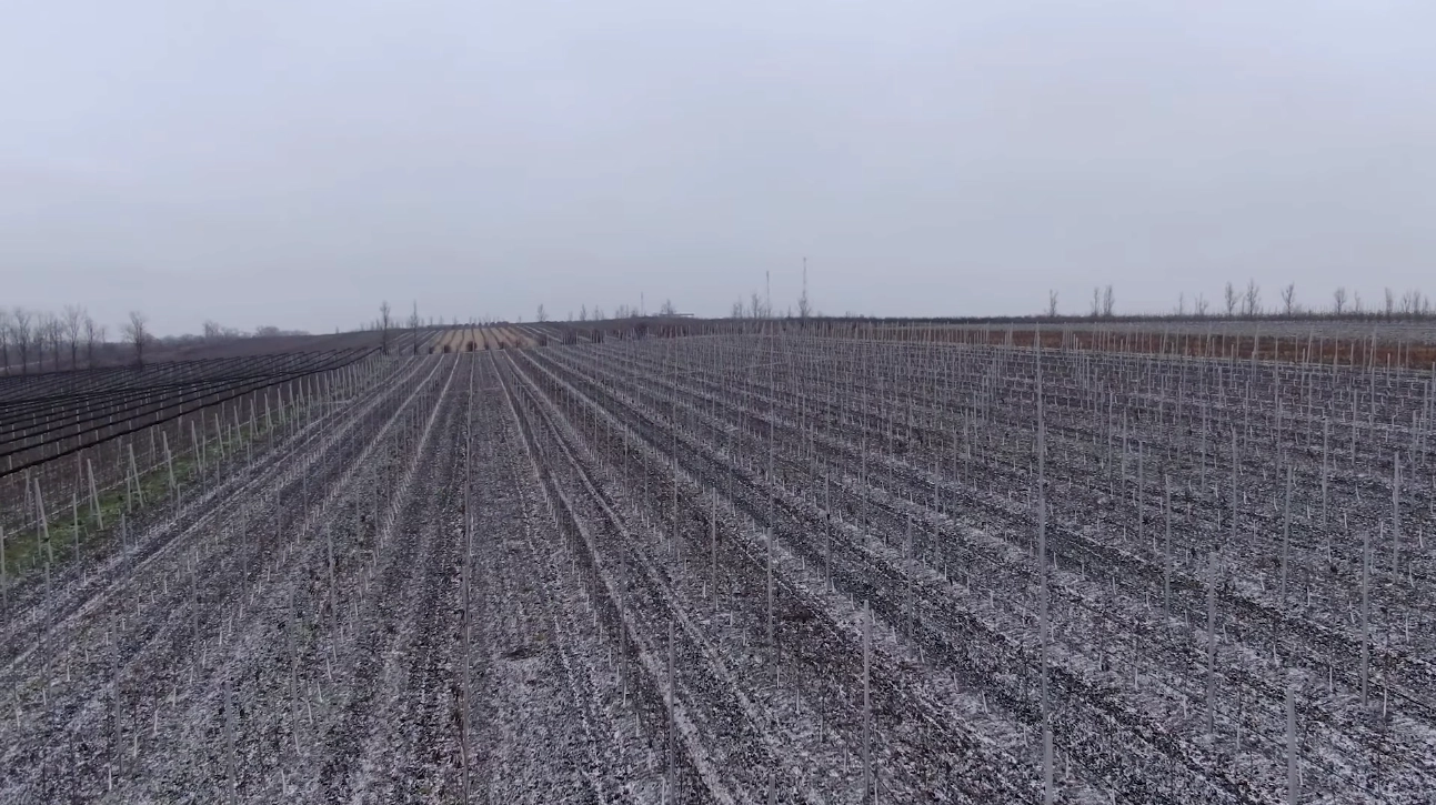 Livezile unei companii din Pocrovca, Donduşeni - un model de perseverență și dezvoltare sustenabilă