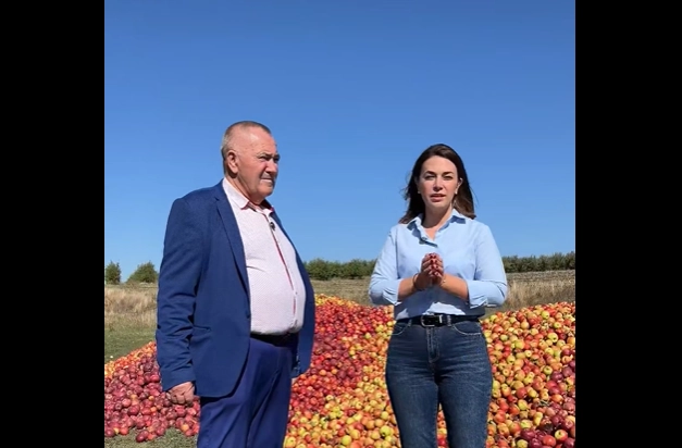 Ministra Ludmila Catlabuga demontează un fals răspândit de Igor Dodon: „Merele depozitate într-o livată din raionul Soroca urmează a fi vândute la suc”