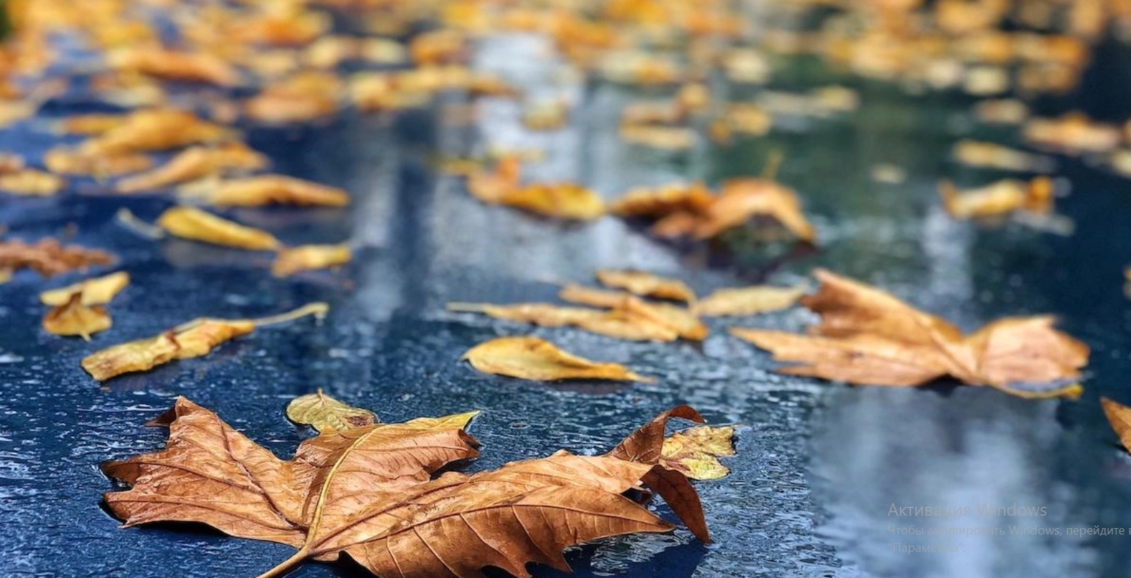 Prima zi din octombrie ne aduce vreme mohorâtă, cu ploi