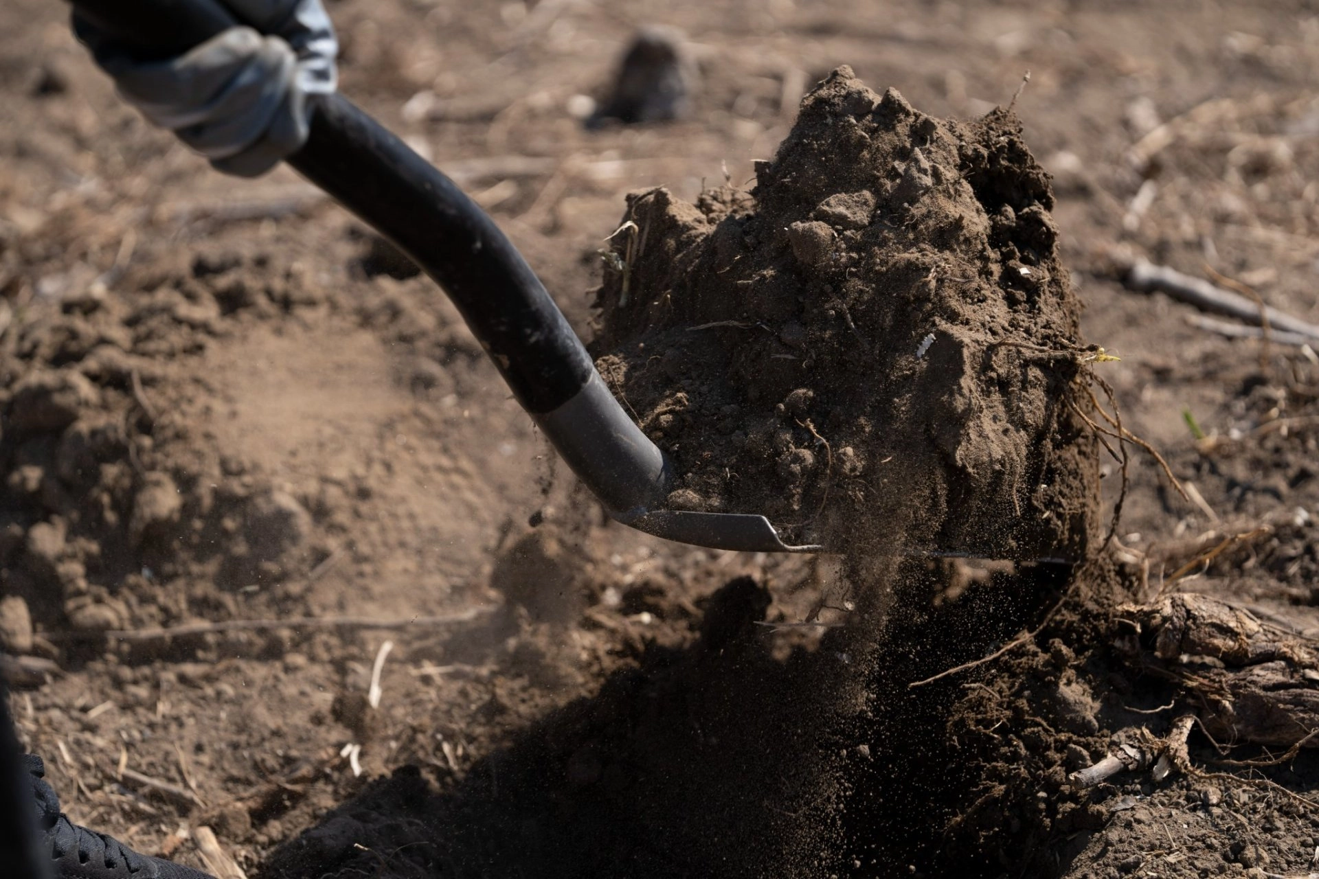 Degradarea solurilor amplifică problemele cu apa ale R. Moldova, potrivit unui raport al mișcării Salvează Solul