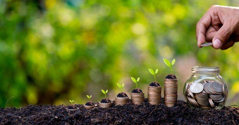 AIPA a autorizat săptămâna trecută plăți de 40,3 milioane de lei pentru fermieri