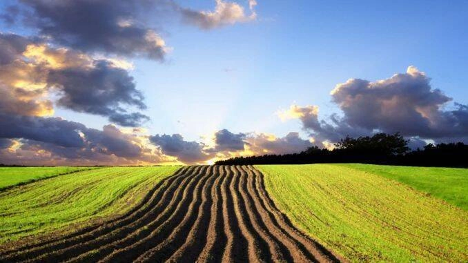 Statul a eliminat obligativitatea autentificării notariale pentru vânzarea terenurilor agricole de până la 0,25 ha