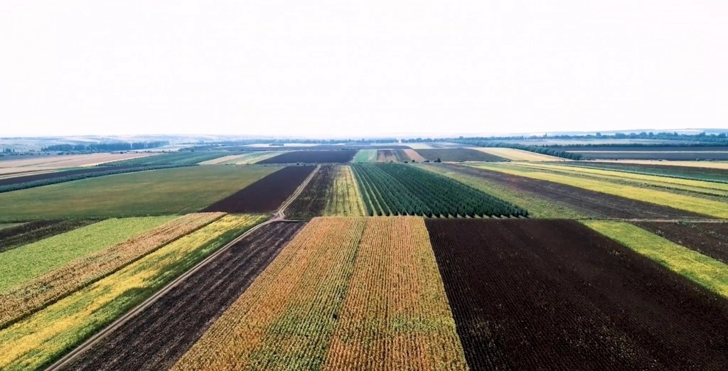 În R. Moldova va fi operațional un nou mecanism de ajustare a tarifelor pentru schimbarea destinației terenurilor agricole și forestiere