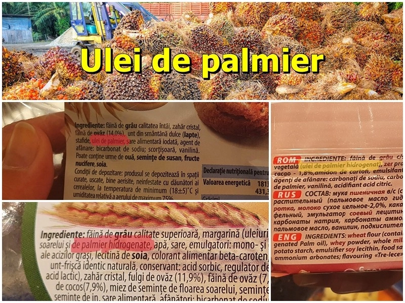 Specialiști ANSP: Citiți etichetele! Uleiul de palmier hidrogenat poate afecta sănătatea