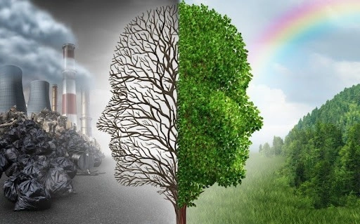 Agenţia de Mediu introduce un model actualizat de cerere pentru înregistrarea activităților economice