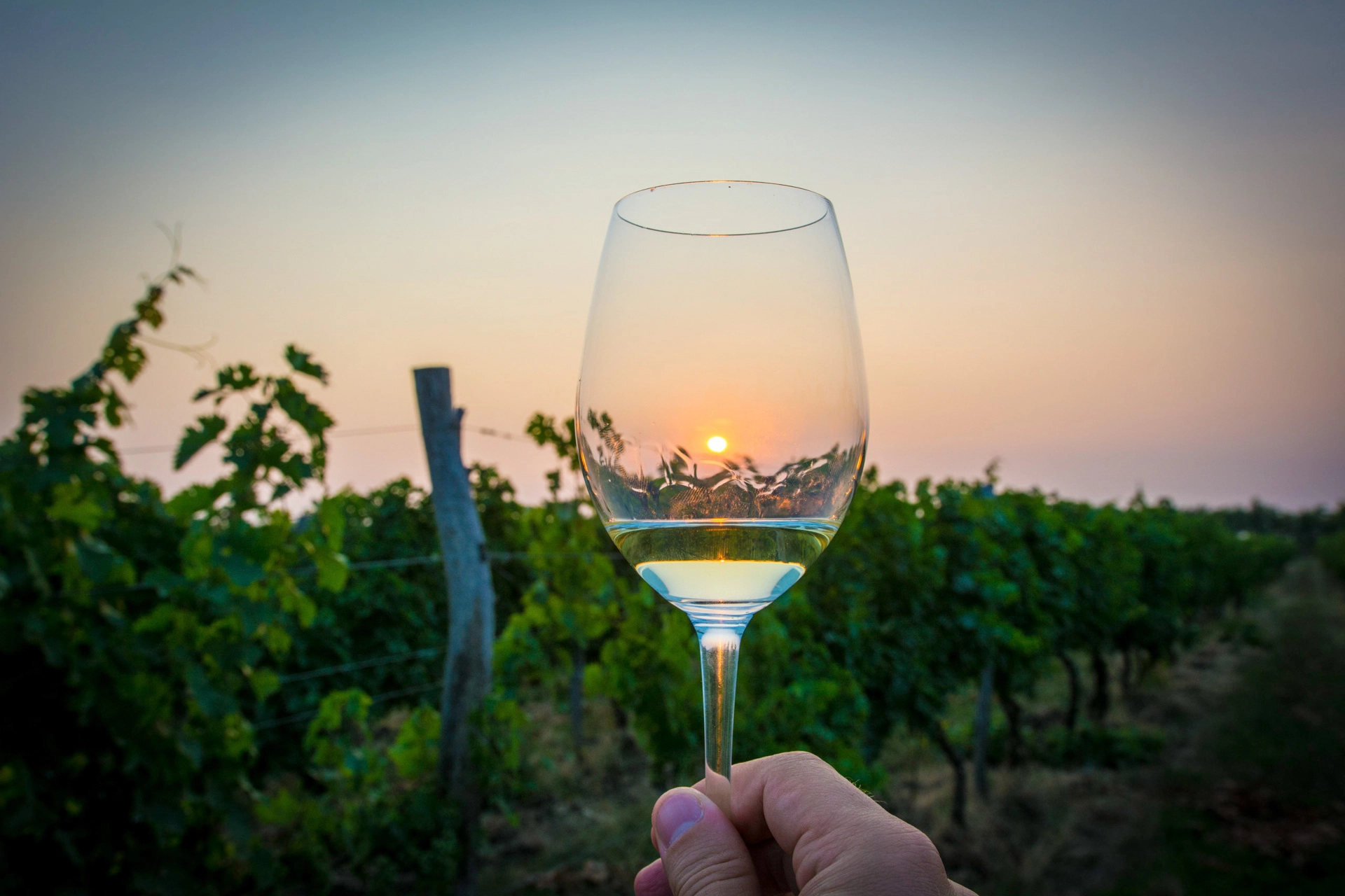 Ţara vinului și a poveștilor cu aromă de tradiție. Turismul vitivinicol care cucerește lumea, cramă cu cramă