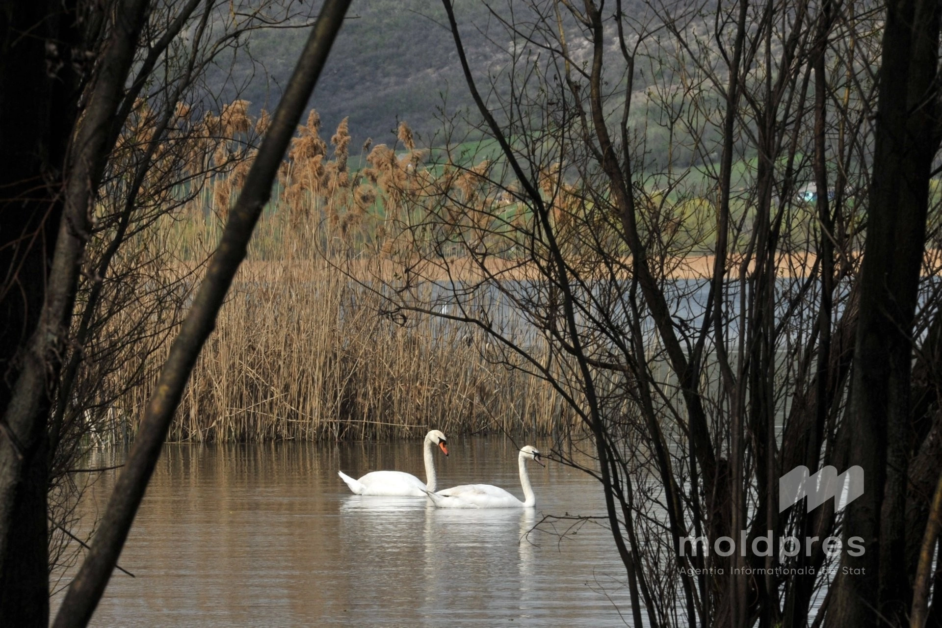 Perspectiva meteo pentru martie 2026 în Moldova: soare, ploi puține și tradiții de primăvară