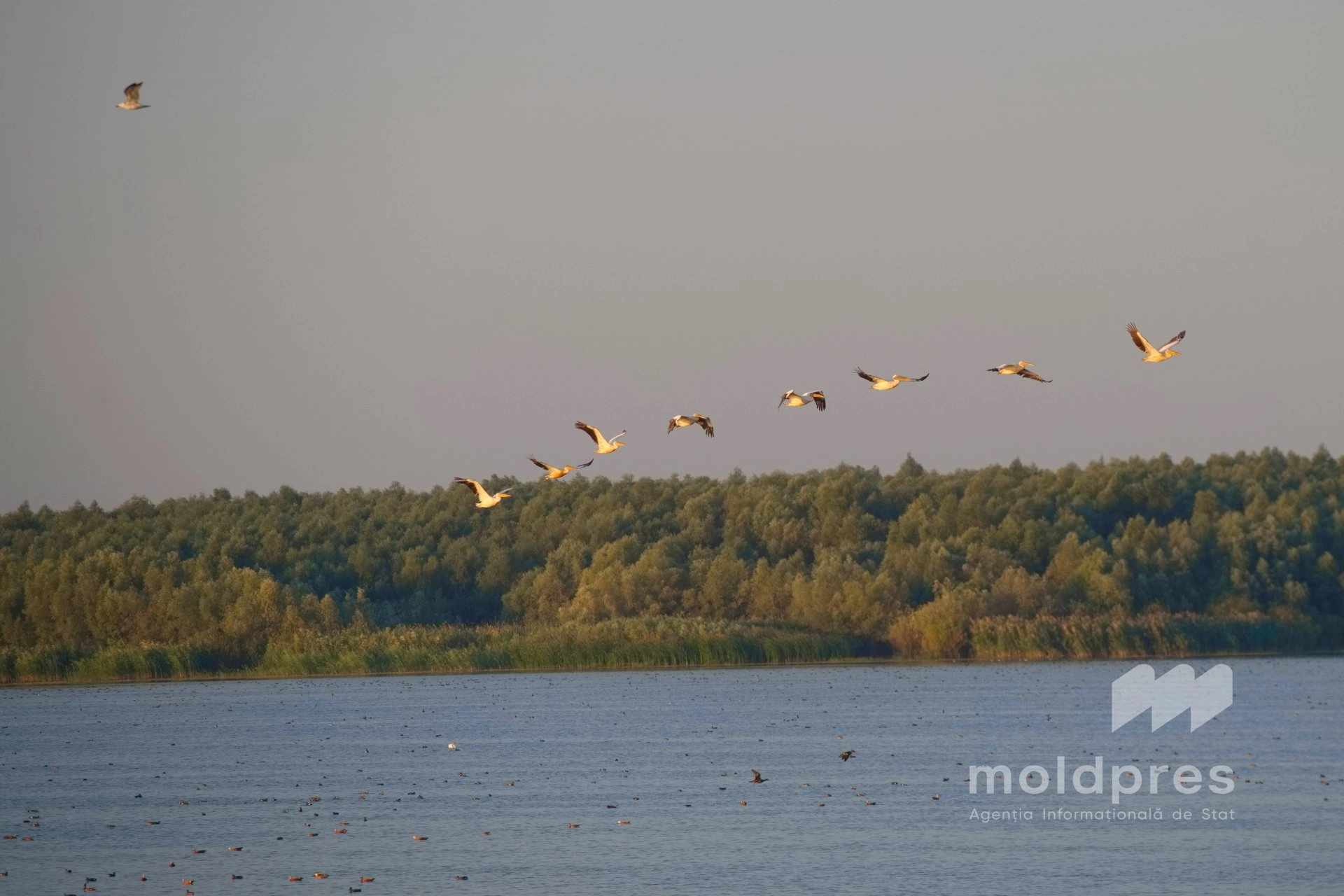 Autoritățile vor aplica noi criterii și proceduri în analiza barajelor și lacurilor de acumulare. Noua metodologie, publicată în Monitorul Oficial