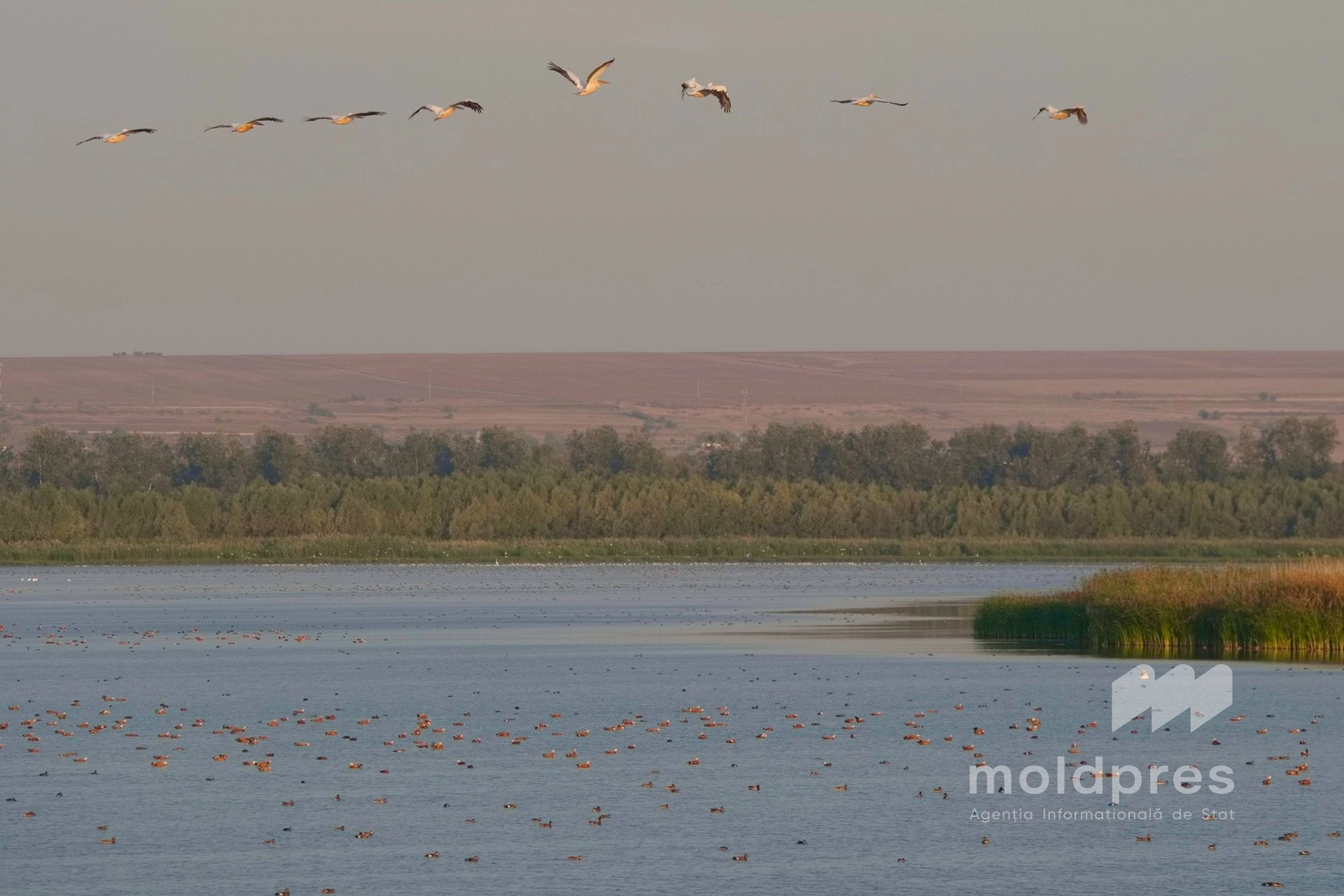 Ziua Mondială a Monitorizării Apei: R. Moldova își consolidează sistemele de protecție a resurselor acvatice