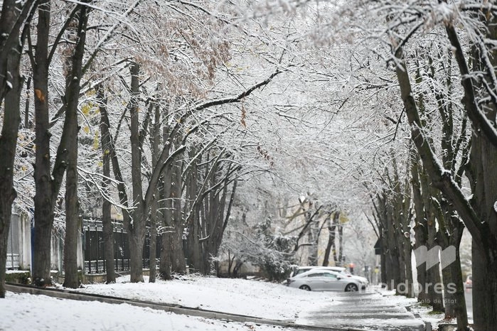 Vreme stabilă fără preciptații, cu temperaturi sub zero grade Celsius, miercuri