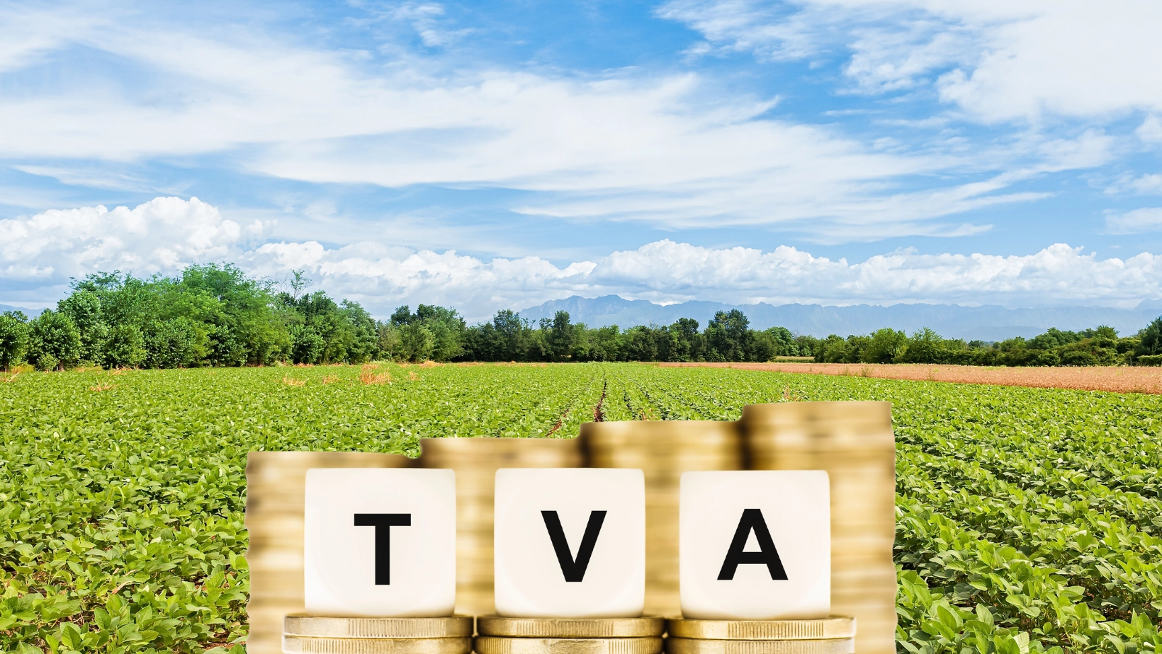 Serviciul Fiscal de Stat solicită agricultorilor utilizarea noului formular pentru rambursarea TVA în anul 2026