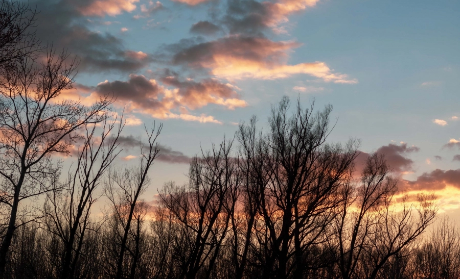 Pe 18 martie, vremea se menţine rece, cu vânt puternic