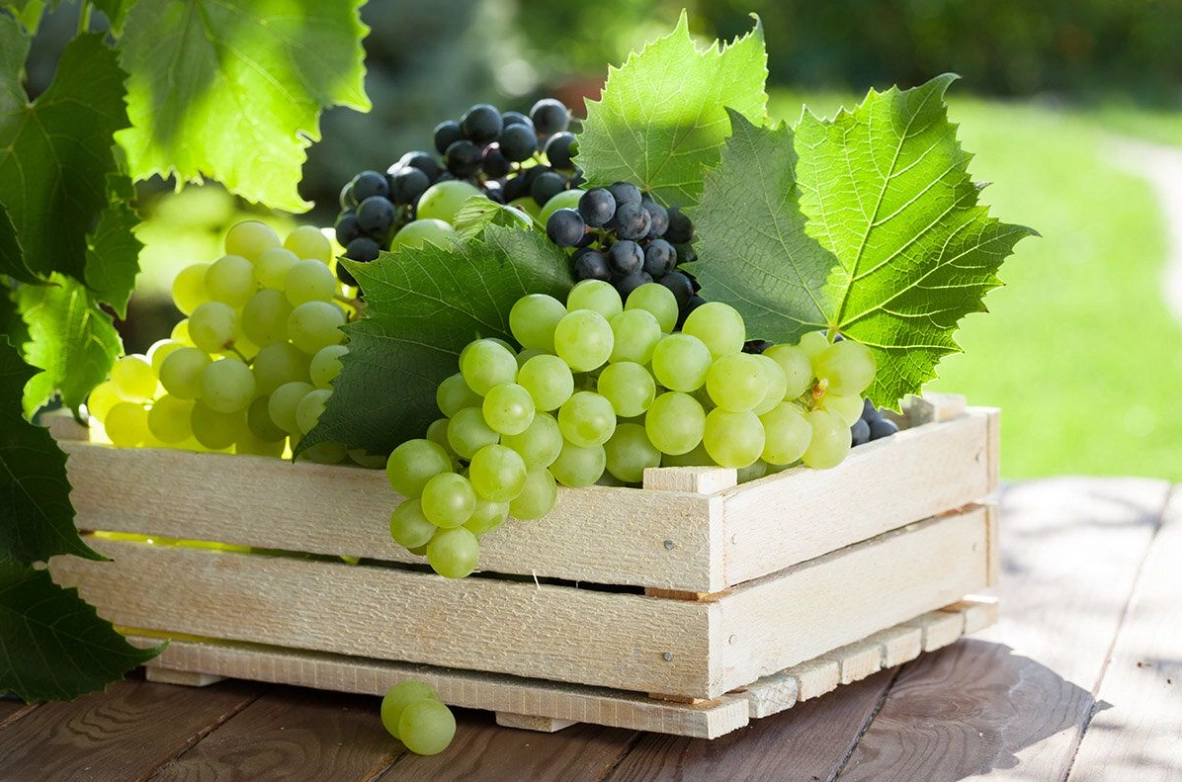 MDED: Cotele de export către UE nu au fost epuizate, iar exporturile pot continua în regim preferențial