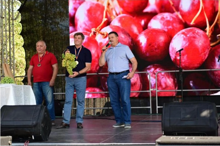 Un Strugure Gigant, de aproape 4 kg, a fost licitat la Festivalul specializat de la Cimişlia pentru suma de 430 de lei