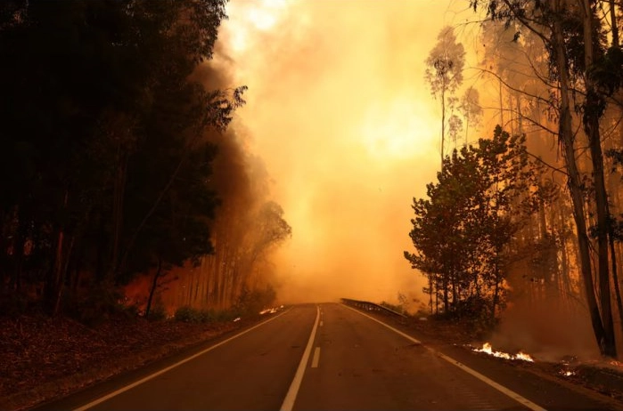 Incendiile de vegetație fac ravagii în Portugalia: trei pompieri au decedat în timp ce luptau cu flăcările