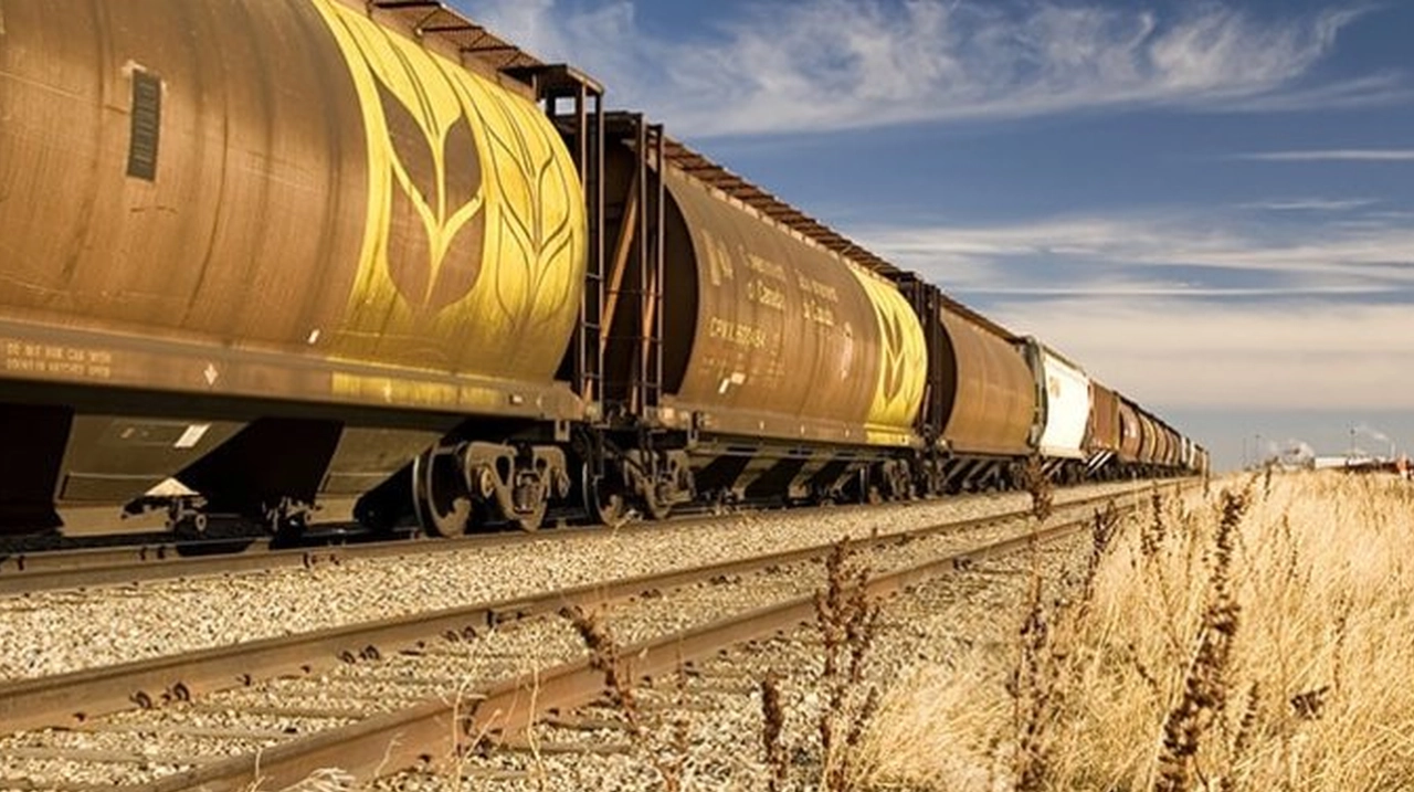 CSE a decis aprobarea reglementării prin autorizare, pe perioada stării de urgență, a importului unor mărfuri agricole. Guvernul explică și alte decizii aprobate de comisie