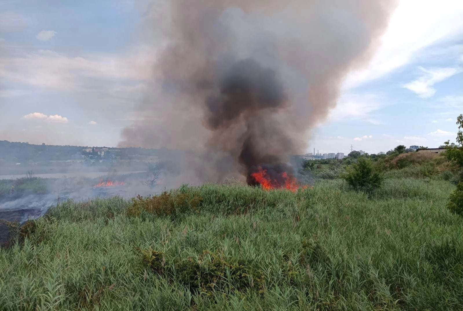 Incendiu de vegetație în sectorul Buiucani al capitalei. Șapte echipe de pompieri luptă cu flăcările