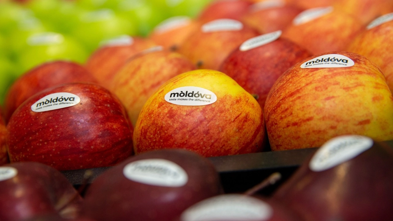 Parlamentul dă undă verde certificatelor de scutire pentru comercianții de fructe și legume