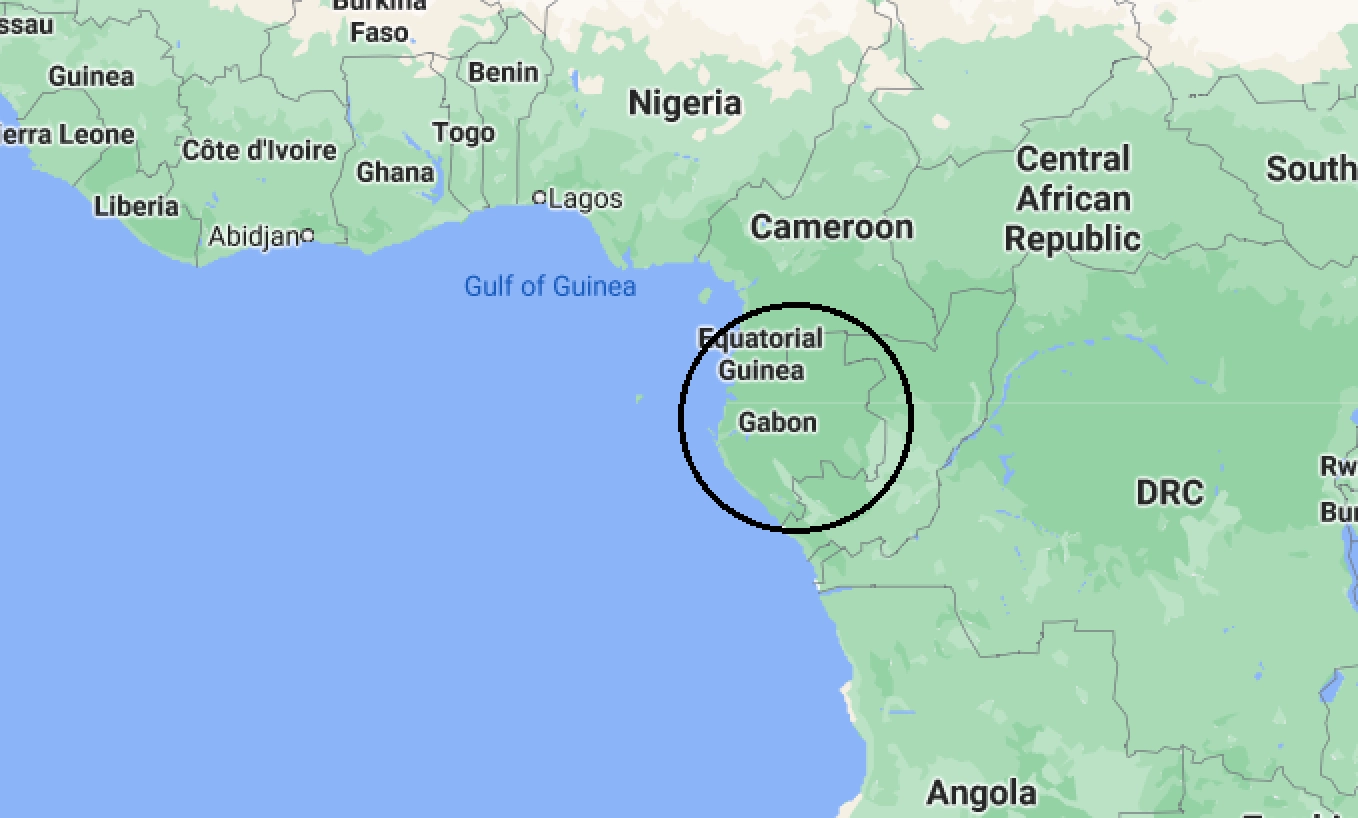 Lovitură de stat militară în Gabon, după realegerea preşedintelui Bongo