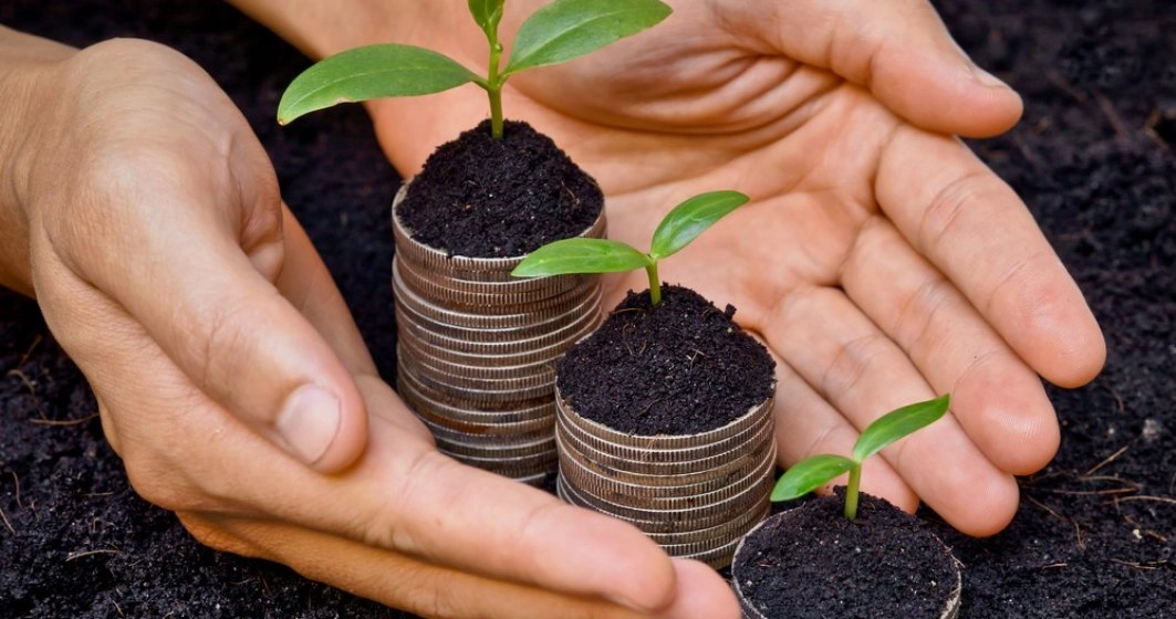 Guvernul a aprobat principiile de subvenționare în agricultură și mediul rural