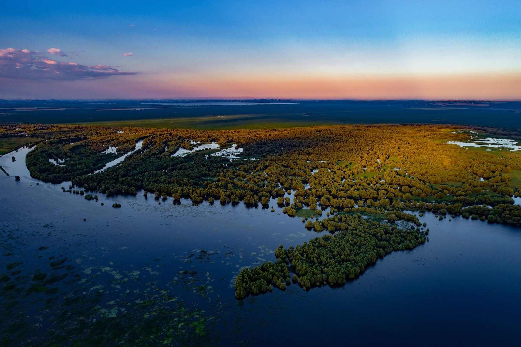 În anul curent, Regiunea Sud va implementa mai multe proiecte în cooperare cu parteneri externi