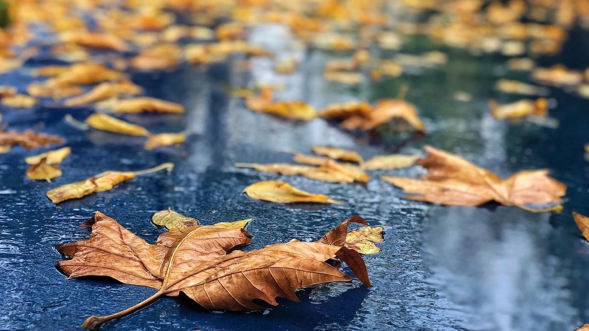 Ploi pe arii extinse și cer noros în întreaga țară, anunţă meteorologii pentru marţi, 11 noiembrie