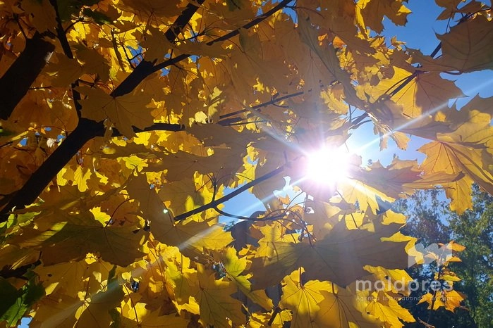 Ceață ușoară dimineața și soare pe parcursul zilei, anunţă meteorologii pentru miercuri