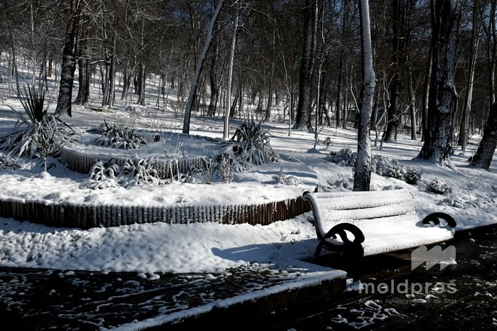 METEO // Cod portocaliu și galben de ninsori și vânt puternic în Republica Moldova