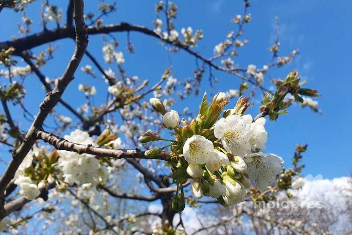Vreme frumoasă, fără precipitații și maxime de până la 28 de grade Celsius, prognozate pentru miercuri