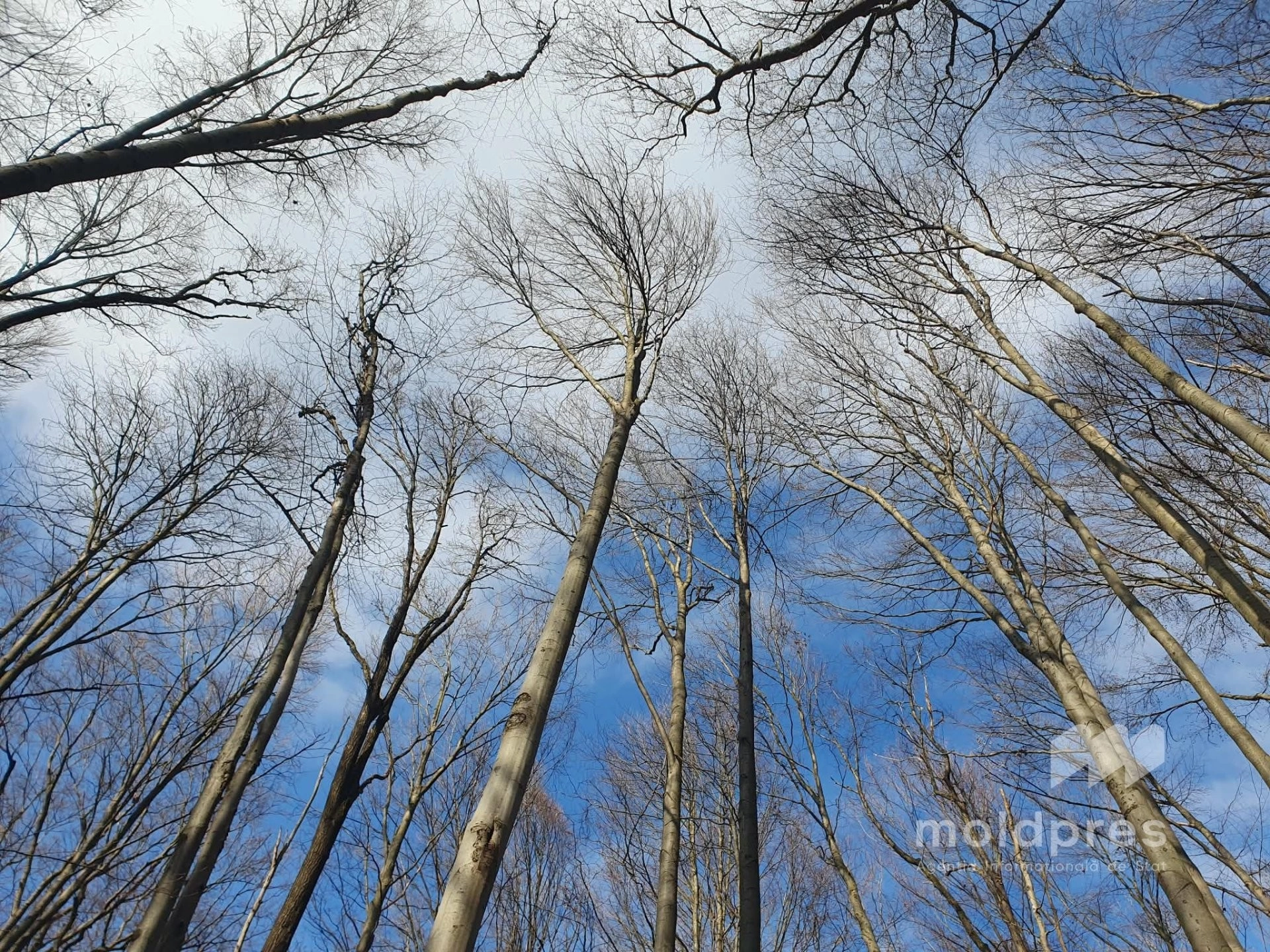 Vreme variabilă și rafale de vânt pentru ziua de marți: temperaturi de până la 15 grade