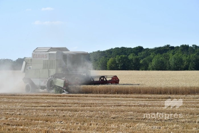 Program de finanțare europeană pentru sectorul agroalimentar, deschis până la sfârșitul lunii aprilie