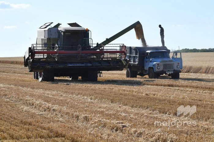 Peste 53 de milioane de lei au fost direcționați de AIPA către fermieri în prima decadă a lunii aprilie