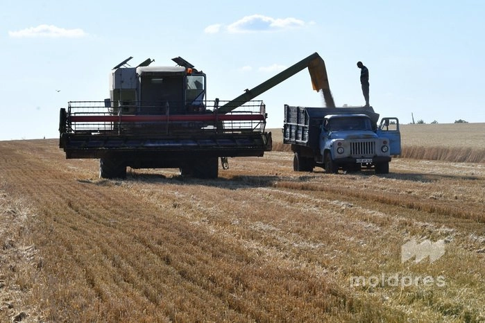 Ministerul Agriculturii lansează instrumentul „Capital circulant agricol”, ca sprijin pentru lucrările sezoniere