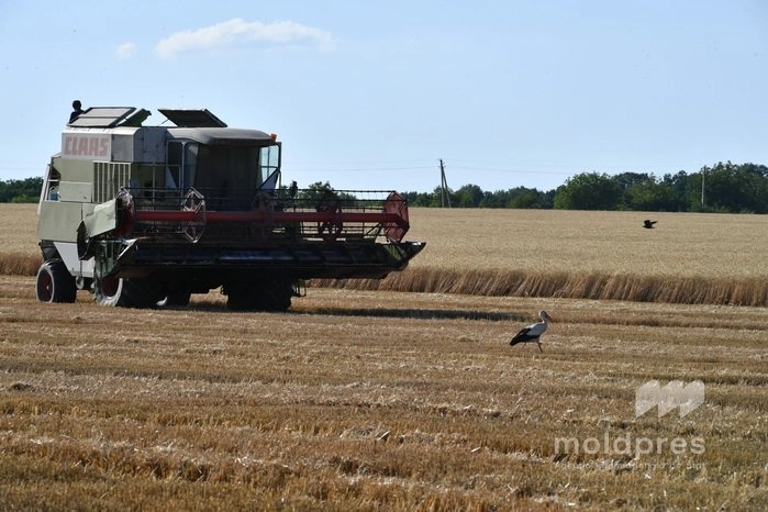 Fonduri de 65 de milioane de lei, direcționate către fermieri în a treia săptămână a lunii martie