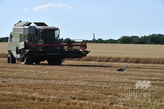 Subvenții de peste 16 milioane de lei pentru agricultori, autorizate de AIPA săptămâna trecută
